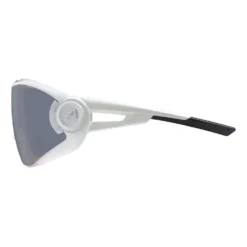 Alpina 5W1NG Q+CM Mirror Sunglasses -Alpina Sales Store alpina 5w1ng q cm mirror sunglasses 5