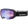 Alpina Big Horn HM Spherical Ski Goggles
