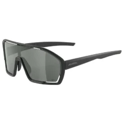Alpina Bonfire Q-Lite Sunglasses