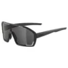 Alpina Bonfire Sunglasses 2 Alpina Bonfire Sunglasses -Alpina Sales Store alpina bonfire sunglasses