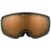 Alpina Double Jack Mag Q Lite Ski Goggles