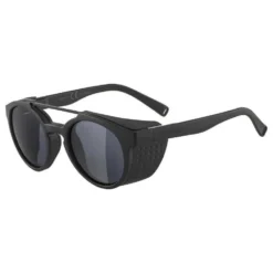 Alpina Glace Sunglasses