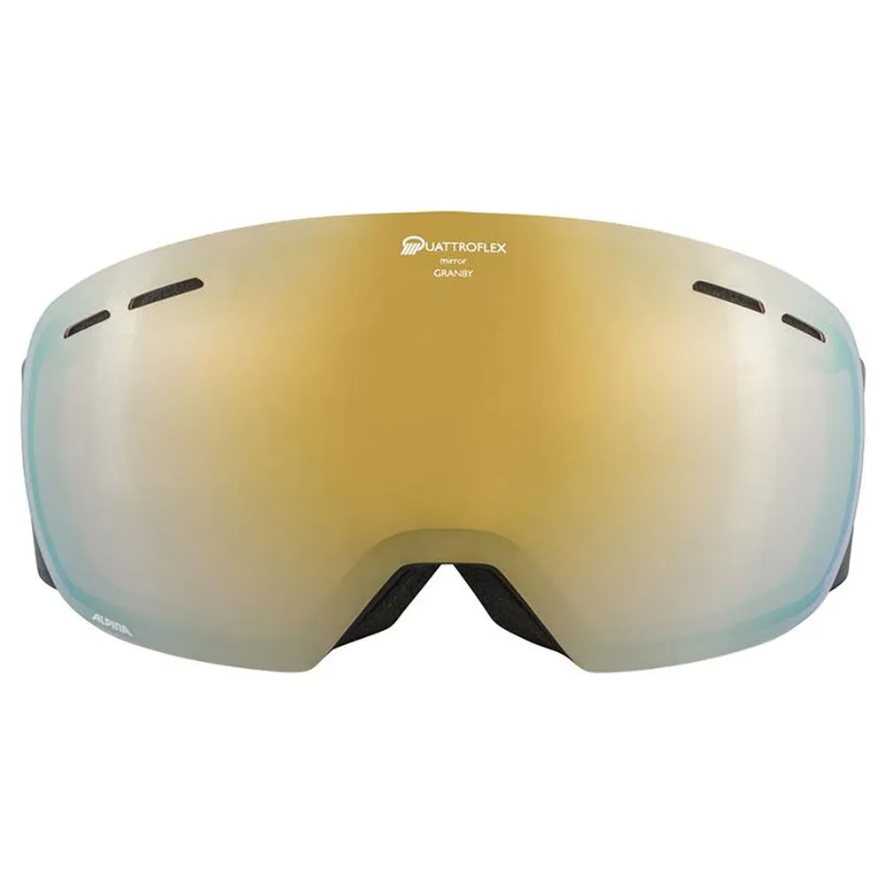 Alpina Granby QHM Ski Goggles 3 Alpina Granby QHM Ski Goggles