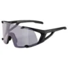 Alpina Hawkeye Q-Lite V Sunglasses -Alpina Sales Store alpina hawkeye q lite v sunglasses