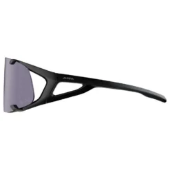 Alpina Hawkeye Q-Lite V Sunglasses -Alpina Sales Store alpina hawkeye q lite v sunglasses 2