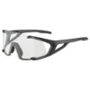 Alpina Hawkeye S Sunglasses -Alpina Sales Store alpina hawkeye s sunglasses