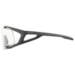 Alpina Hawkeye Sunglasses -Alpina Sales Store alpina hawkeye sunglasses 4