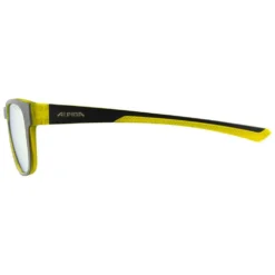 Alpina Lino II Mirror Sunglasses -Alpina Sales Store alpina lino ii mirror sunglasses 3