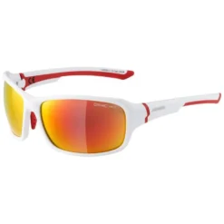 Alpina Lyron Mirror Sunglasses