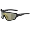 Alpina Lyron Shield P Mirror Sunglasses 2 Alpina Lyron Shield P Mirror Sunglasses -Alpina Sales Store alpina lyron shield p mirror sunglasses