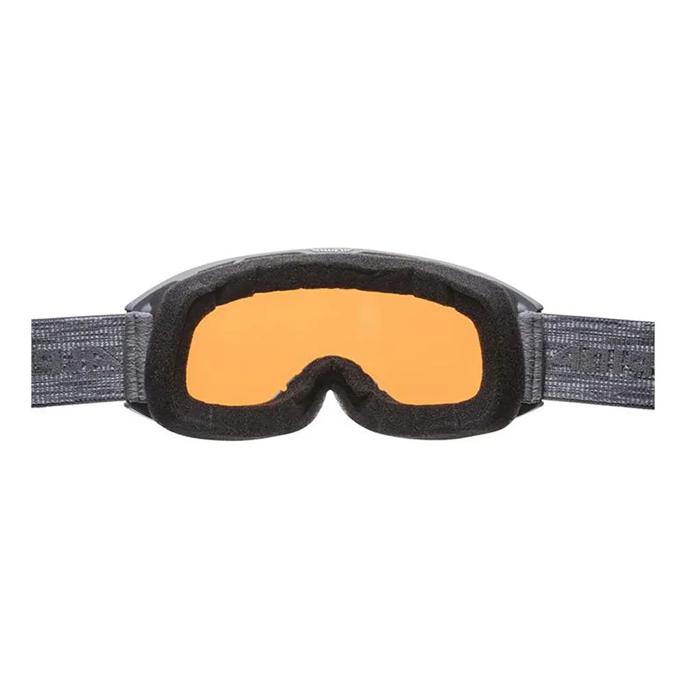 Alpina Nakiska DH Ski Goggles 4 Alpina Nakiska DH Ski Goggles - Image 2