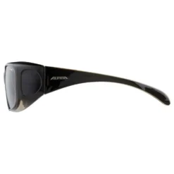 Alpina Overview Sunglasses 10 Alpina Overview Sunglasses -Alpina Sales Store alpina overview sunglasses 2
