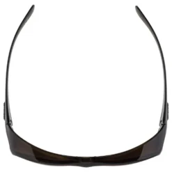 Alpina Overview Sunglasses 11 Alpina Overview Sunglasses -Alpina Sales Store alpina overview sunglasses 3