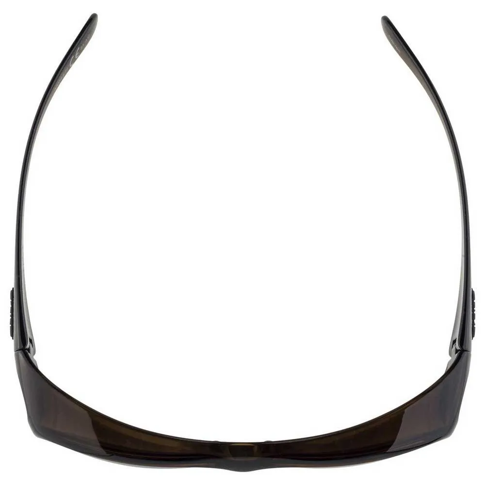 Alpina Overview Sunglasses 6 Alpina Overview Sunglasses - Image 4