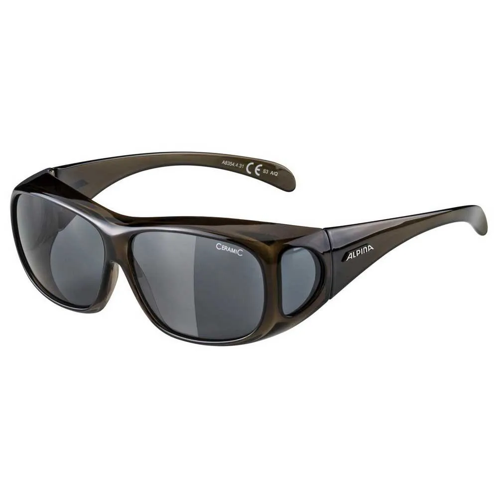 Alpina Overview Sunglasses 3 Alpina Overview Sunglasses