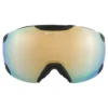 Alpina Pheos QVM Ski Goggles