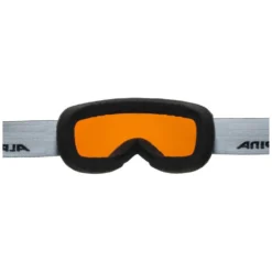 Alpina Pheos S HM Ski Goggles -Alpina Sales Store alpina pheos s hm ski goggles 1