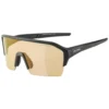Alpina Ram HR HVLM+ Mirror Sunglasses -Alpina Sales Store alpina ram hr hvlm mirror sunglasses