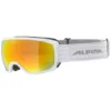 Alpina Scarabeo S HM Spherical Ski Goggles -Alpina Sales Store alpina scarabeo s hm spherical ski goggles
