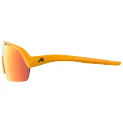 Alpina Turbo HR Sunglasses 8 Alpina Turbo HR Sunglasses -Alpina Sales Store alpina turbo hr sunglasses 2