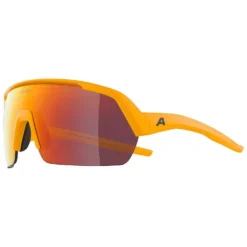 Alpina Turbo HR Sunglasses