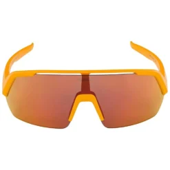 Alpina Turbo HR Sunglasses 9 Alpina Turbo HR Sunglasses -Alpina Sales Store alpina turbo hr sunglasses 3