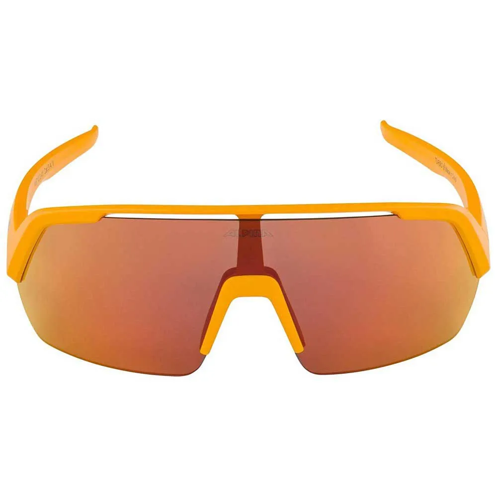 Alpina Turbo HR Sunglasses 6 Alpina Turbo HR Sunglasses - Image 4